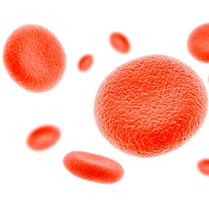 Anemia Panel