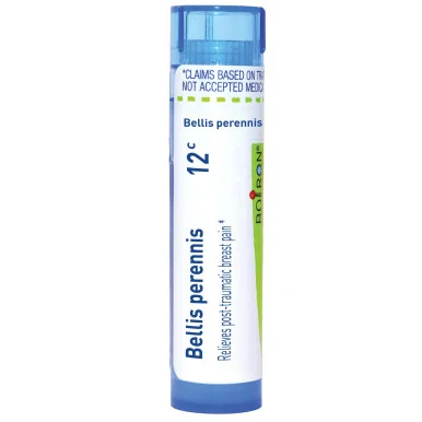 Bellis Perennis 12c