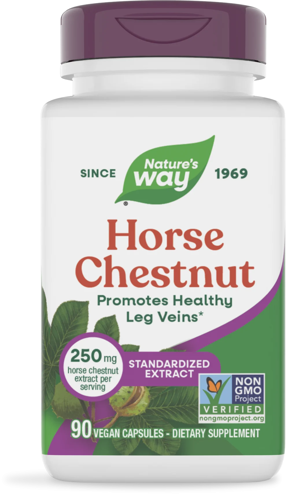 Horse Chestnut