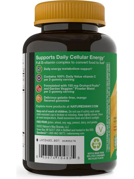 Nature's Way, Alive! B-Complex Gummies, Mango, 60 Gummies