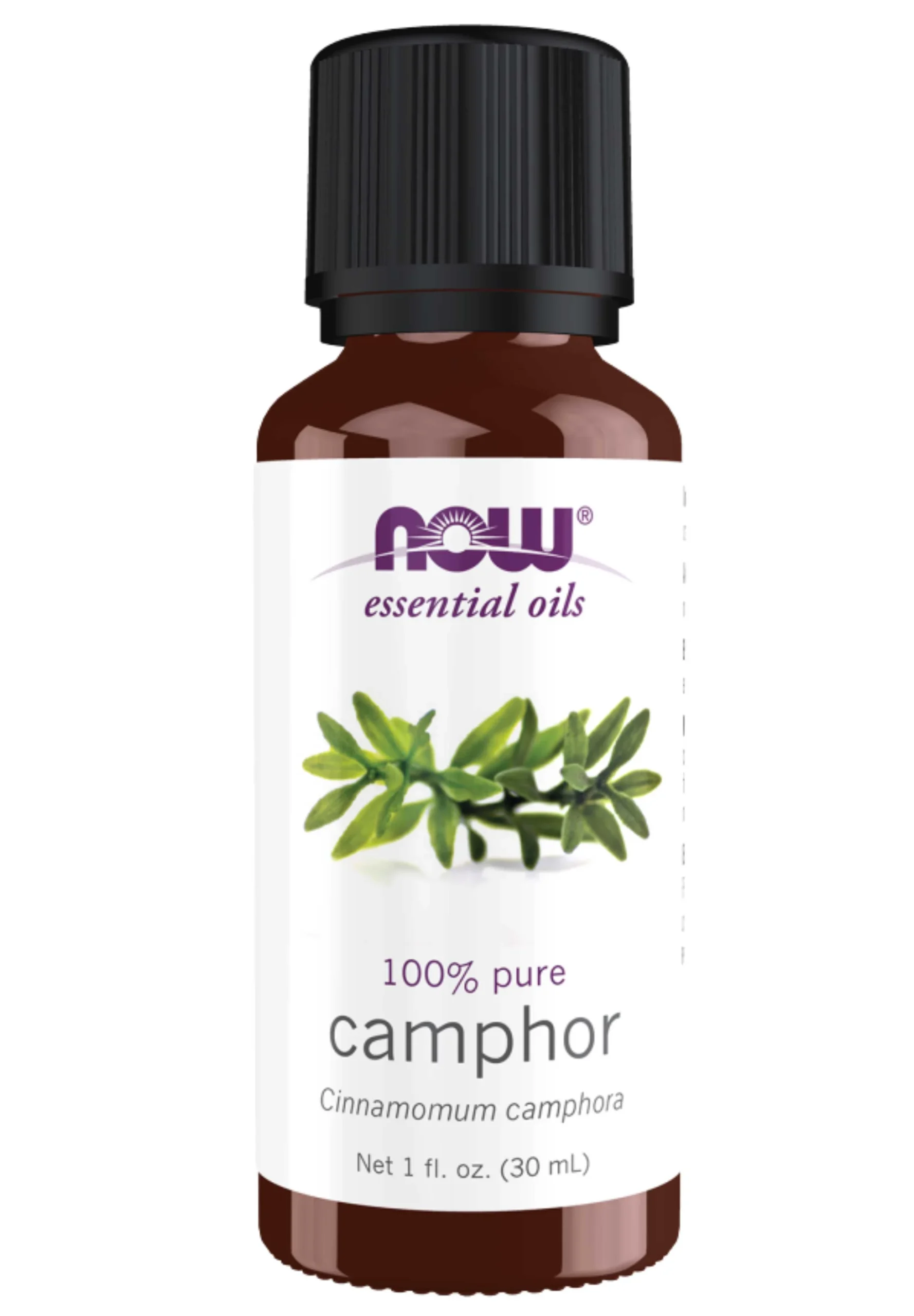 NOW Essential Oils 100% Pure Camphor Oil