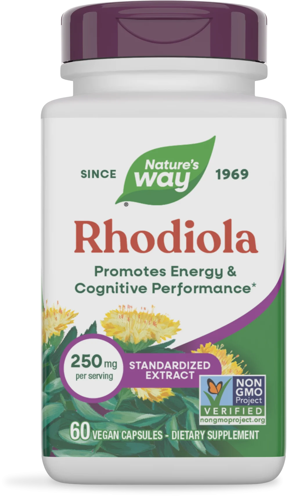 Rhodiola