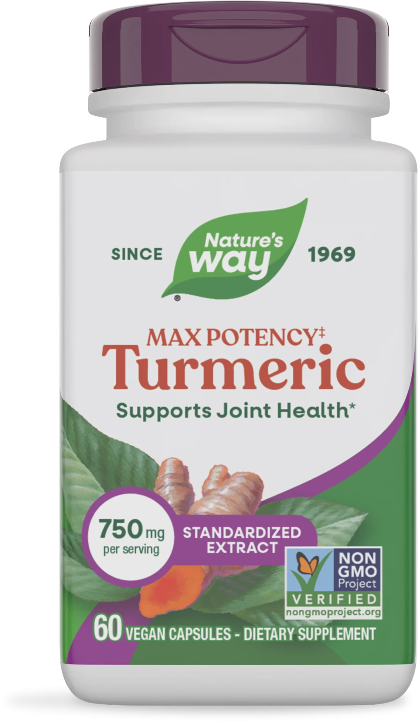 Turmeric Max Potency‡